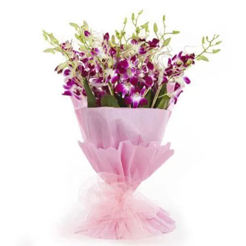 Vibrant Blooms Purple Orchid Stems Bunch