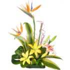 Exotic Flowers - Office Arrangement