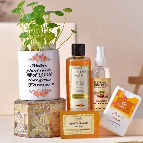 Freshness N Fragrant Hamper N Money Plant Combo