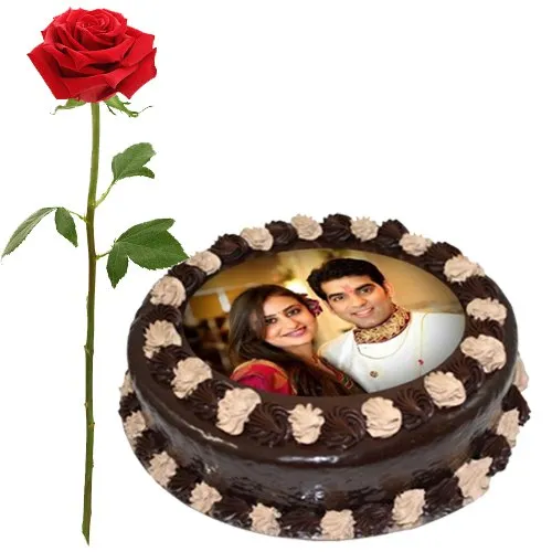 Deliver Single Red Rose with Chocolate Photo Cake