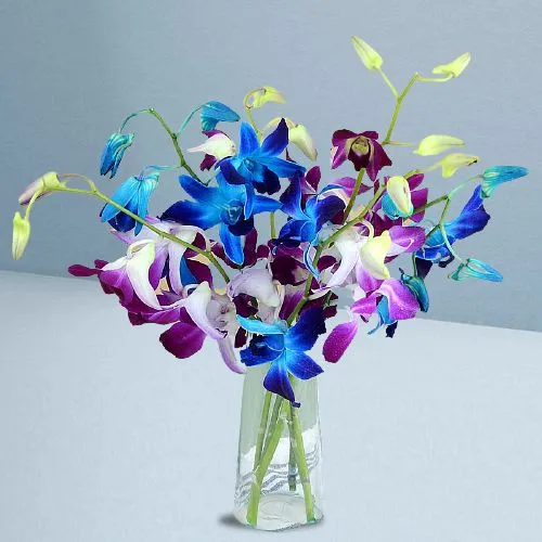 Blue and outlet purple orchids