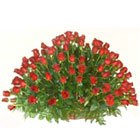 Expressive Assortment of 150 Dutch Roses in Red Expressive Assortment of 150 Dutch Roses in Red