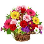 Basket of Sizzling Mixed Flowers Basket of Sizzling Mixed Flowers