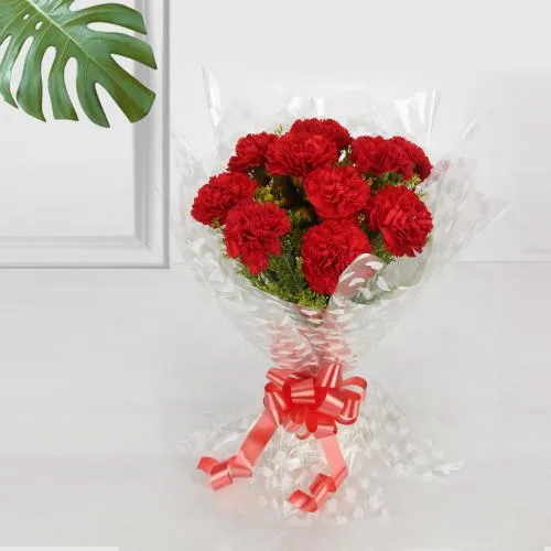 Gift Bouquet of Red Carnation Online