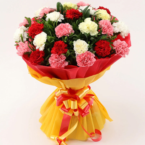 Shop Bouquet of Mixed Carnations Online