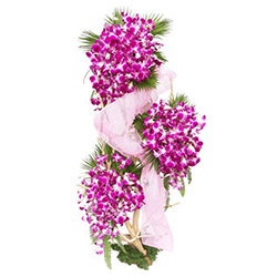 Magical Three-Tier Orchid Stems Arrangement Magical Three-Tier Orchid Stems Arrangement