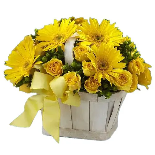 Order Online Yellow Roses N Gerberas Basket