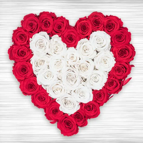 Wonderful Heart Shaped Arrangement of Red n White Roses Wonderful Heart Shaped Arrangement of Red n White Roses