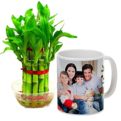 Order Personalized Coffee Mug with Two Tier Bamboo Plant