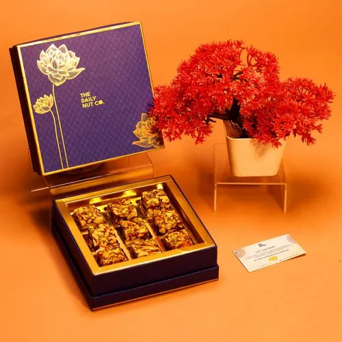 Premium Dry Fruit Barfi Indulgence