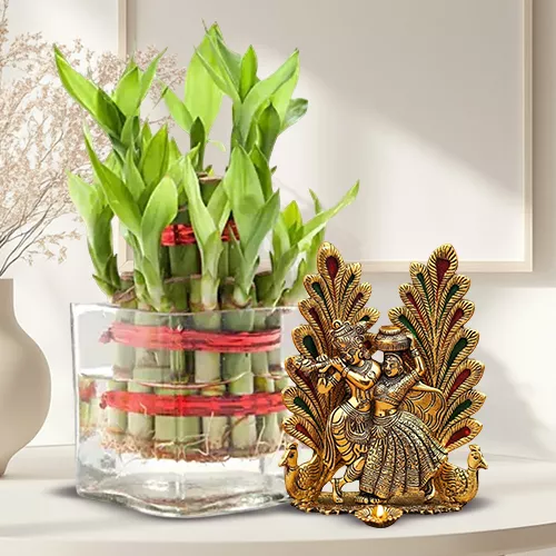 Holy Gift of 2 Layer Good Luck Bamboo Plant with Radha Krishna Murti
